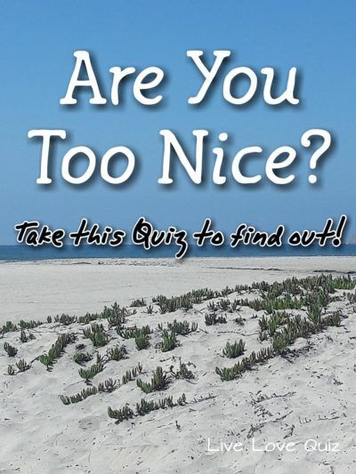 How To Be Nice, How To Be A Good Person, How To Be A Better Person, Funny Personality, Personality Type Quiz, Love Quiz, Random Questions, Social Intelligence, Too Nice