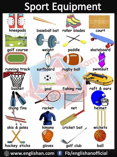 Sport Vocabulary, Basic English Vocabulary, English Picture, Sport English, Picture Vocabulary, Animals Name In English, Roller Blades, French Flashcards, Sport Equipment