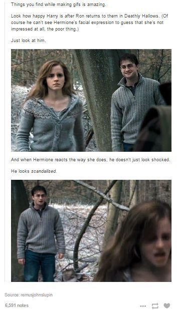 Harry Potter. Hermione granger. Ron weasley. Funny Harry Potter, Tree Of Life Movie, Harry Potter Golden Trio, Harry Potter Snape, Comment Ideas, Life Movie, Glume Harry Potter, Weasley Family, Harry Potter Memes Hilarious