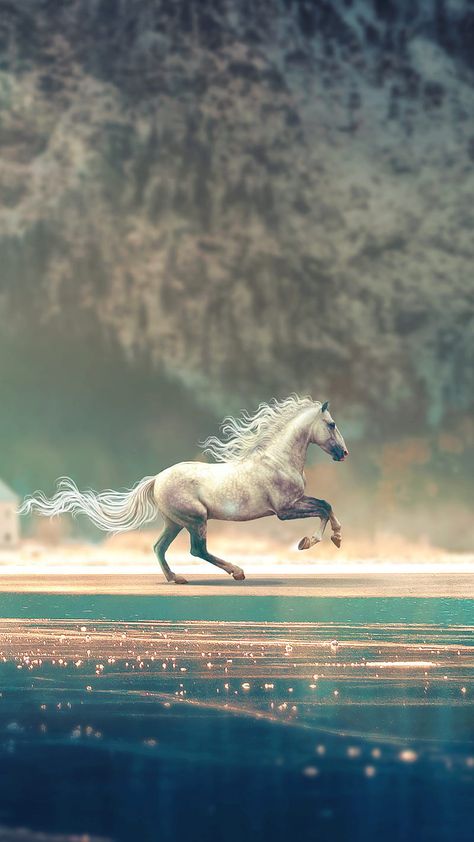Horse Wallpaper Explore more Animal, Domesticated, Hoofed, Horse, Mammal. wallpaper. https://www.whatspaper.com/horse-wallpaper-46/ Running Horse Wallpaper, Wild Animal Wallpaper, Horse Running, Mobile Wallpaper Android, Cute Horse Pictures, Mustang Horse, Fantasy Horses, Running Horse, Horse Wallpaper