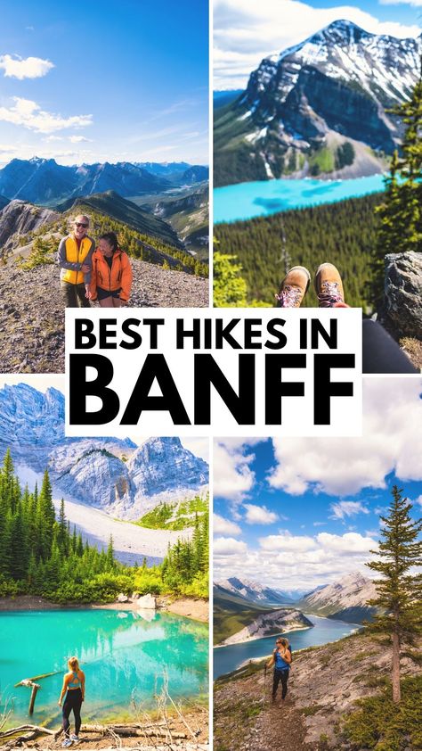 The best hikes in Banff National Park Banff National Park Hikes, Hiking In Canada, Hiking Banff, National Parks Canada, Banff Hikes, Hiking Alberta, Banff Hiking, Hikes In Banff, Banff Trip