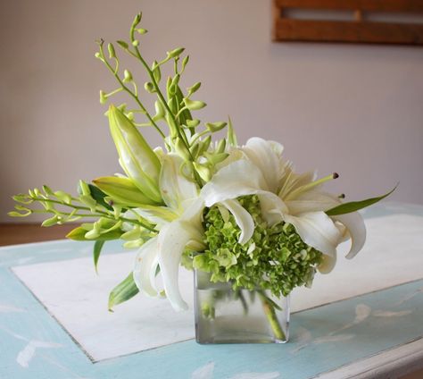 Green hydrangeas, lilies and orchids in a square vase.  $49.99 #thedizzydaisy #flowers #arrangement Square Vase Arrangements, Lily Floral Arrangements, Lilies And Orchids, White Lillies, Flowers Delivery, Easter Lily, Flower Vase Arrangements, Green Hydrangea, Square Vase