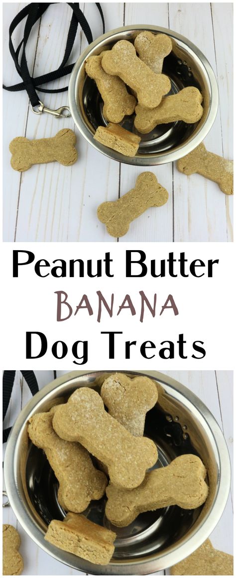 Peanut Butter Banana Dog Treats, Banana Dog Treat Recipe, Banana Dog Treats, Homemade Dog Food Recipes, Pet Treats Recipes, Banana Treats, Dog Treats Homemade Easy, Easy Dog Treat Recipes, Dog Biscuit Recipes