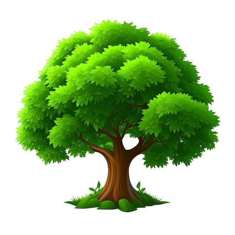 Tree Photo Background, Tree Png Hd, Tree Cartoon Images, Green Objects, Cartoon Objects, Hope Tree, Palm Tree Clip Art, Village Scene Drawing, Cute Pics For Dp