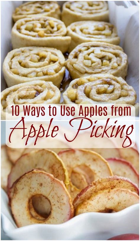 Northern Spy Apple Recipes, Apple Preserving Recipes, Freezing Apple Crisp Filling, Freezer Friendly Apple Recipes, Homegrown Apple Recipes, Jonathan Apple Recipes, Apple Recipes Healthy Dinner, Recipes With Macintosh Apples, Freeze Apples Slices