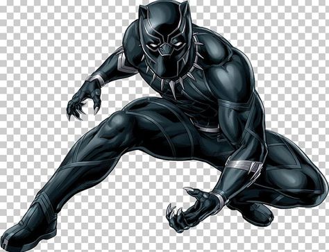 Black Panther Superhero, Black Panther Images, Avengers Black Panther, Bird Anime, African Superhero, Superhero Coloring, Avengers Characters, Chinese Warrior, Black Panther Party