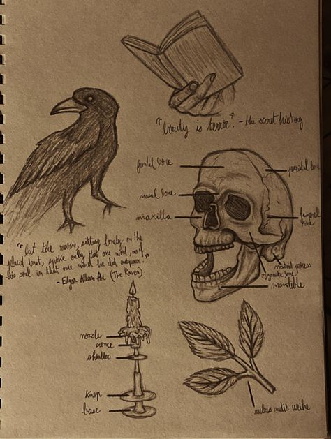 Sketchbook Dark Academia, Easy Dark Academia Drawing, Dark Academia Doodles Easy, Sketch Dark Academia, Dark Academia Draw, Dark Academia Paintings Easy, Drawing Dark Academia Aesthetic, Dark Academia Tattoo Aesthetic, Dark Academia Art Drawing