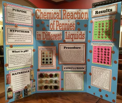 Chemical reaction of pennies science project Penny Science Fair Project, Science Project Poster, Chemistry Project Ideas, Science Fair Topics, Science Fair Poster, 8th Grade Science Projects, Kids Science Fair Projects, Elementary Science Fair Projects, Science Fair Board