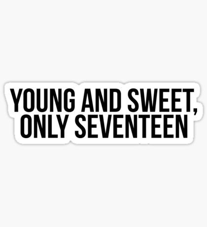 Sweet Seventeen Quotes, 17 Quotes Birthday, Seventeen Birthday Captions, Happy Birthday To Me Aesthetic 17, 17 Bday Captions, Happy Sweet Seventeen Birthday, 17 Birthday Captions, 17 Birthday Captions Instagram, Dancing Queen Young And Sweet Only 17