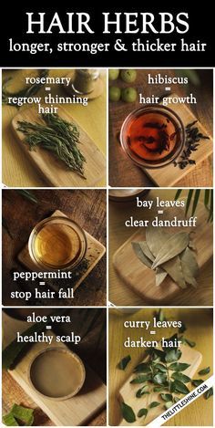 Hair Herbs, Haircare Natural, Regrow Thinning Hair, Herbs For Hair Growth, How To Darken Hair, Homemade Hair Treatments, Herbs For Hair, Hair Growth Secrets, Hair Growing Tips