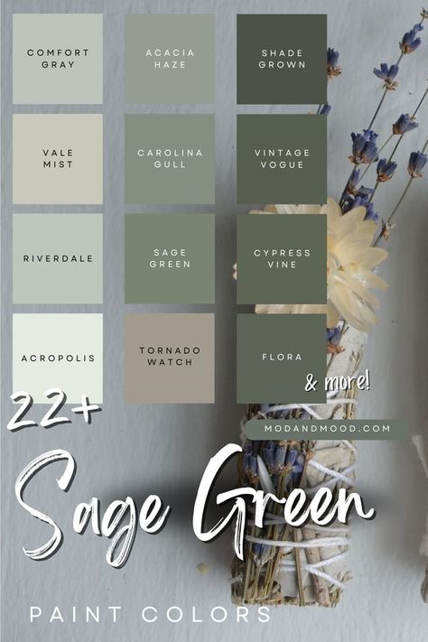 22+ Sage Green paint colors with thumbnails from 12 of the colors over a background of a sage flower bundle Sage Living Room, Sage Green Living Room, Green Walls Living Room, Sage Green Paint Color, Green Bedroom Walls, Green Wall Color, Sage Green Paint, Green Living Room, Sage Green Bedroom