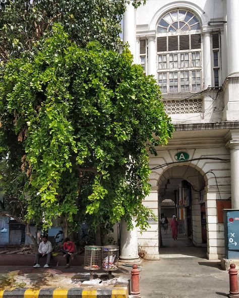 Random Corner at Connaught Circle! 🏛️ . . . .  #streetphotography #photography #street #travel #art #streetstyle #life #heritage #architecture #urban #urbanjungle #vsco #vscocam #city #delhi #india #connaughtplace #instatravel #instamoment #random #streetlife #nofilter #delhigram #delhibloggers @streets.of.delhi @lbbdelhincr @delhitourism_official @sodelhi @thetimesofindia @lonelyplanetindia @condenastindia @natgeoindia @travelandleisure Nature, Cannot Place Delhi, Connaught Place Delhi Photography, Connaught Place Delhi Aesthetic, Cityscape Reference, Cafes In Delhi, Delhi Cafe, Delhi Connaught Place, Delhi Places