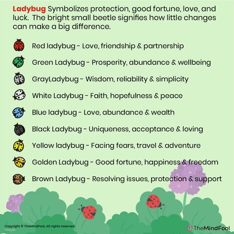 Ladybug Meaning & Symbolism – A Complete Guide Ladybird Spiritual Meaning, Insect Meaning Spiritual, Ladybug Symbolism Meaning, Spiritual Meaning Of Ladybugs, Orange Ladybugs Spiritual Meaning, Beetle Spiritual Meaning, Ladybug Spiritual Meaning, Ladybug Symbolism, Meditation Signs