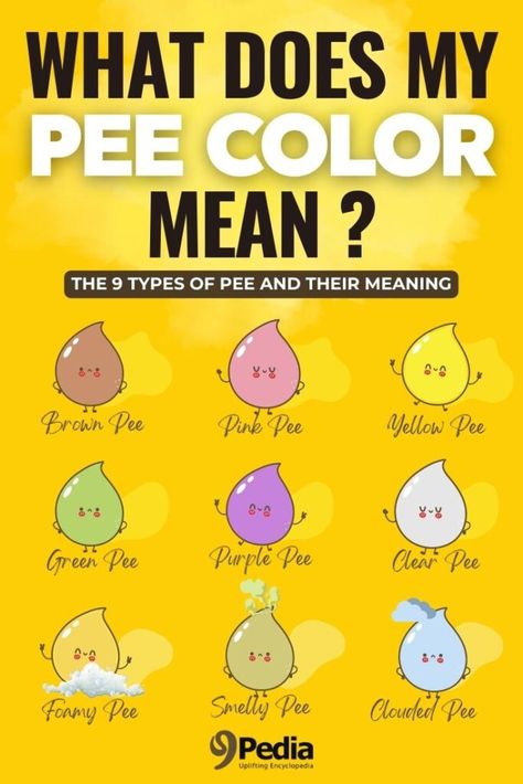 What Does My Pee Color Mean? 9 Types of Pee and Their Meaning #pee #urine #peecolor #urinecolor #urinehealth #peehealth Cloudy Pee, Green Urine, Pee Color, Color Of Urine, Cloudy Urine, Pee Smell, Urine Smells, Cat Pee, Dog Pee