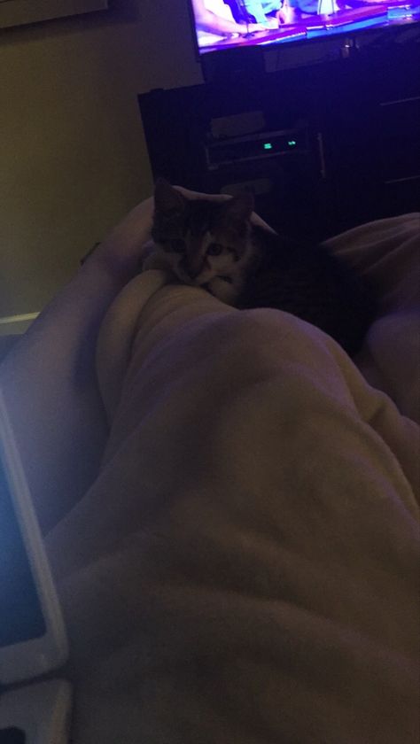 Jennifer Aniston, Kittens, Laying In Bed Aesthetic Night, Lying In Bed Selfie, Laying On Bed, Bed Selfie, Laying In Bed, Night Pictures, Night Aesthetic