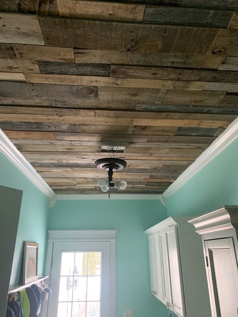 Reclaimed Wood Vaulted Ceiling, Barnwood Ceiling Ideas, Whitewashed Ceiling Planks, Pallet Board Ceiling, Brad Board Ceiling, Color Ceiling Ideas, Tiny Shed House Ideas Interiors, Planking Ceiling, Camper Ceiling Ideas