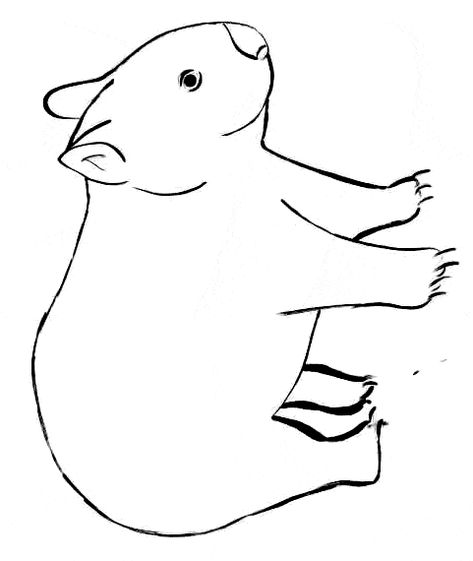 free Wombat coloring page Patchwork, Wombat Cartoon, Wombat Stew, Crafts Spring, Animal Outline, Bear Patterns Free, Animal Templates, Australia Animals, Printable Animals