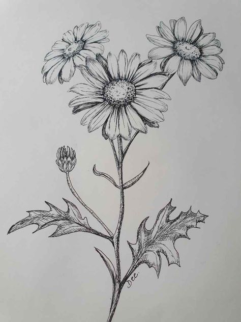 Daisy Flower Drawing, Flower Drawing Ideas, Daisy Drawing, Simple Flower Drawing, Easy Flower Drawings, Flower Drawing Tutorials, Daisy Art, Flower Sketches, Arte Horror