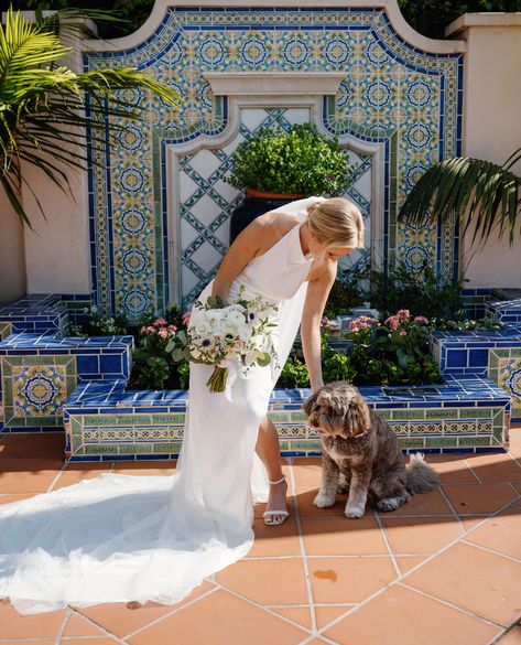 Happy National Dog Day to all your fur babies 🐶⁠
⁠
Planning | @ohhappydayweddings⁠
Venue | @lavalenciahotel⁠
Photo | @dehaanphoto @theoffpathphoto⁠
Hair | @latishamarcum⁠
Makeup | @taylorhauptmakeup⁠
Florals | @adorationsinc⁠
DJ | @stilllisteningproductions⁠
Dessert | @elchurreroca⁠
Cake | @sugarandscribe⁠
Live Painter | @joshuaspieker_⁠
String Quartet | @jennifer_maureen⁠
⁠
#sandiegowedding #sandiegoweddingplanner #weddingplanner #weddingcoordinator #weddingplanning #nationaldogday⁠
 ⁠