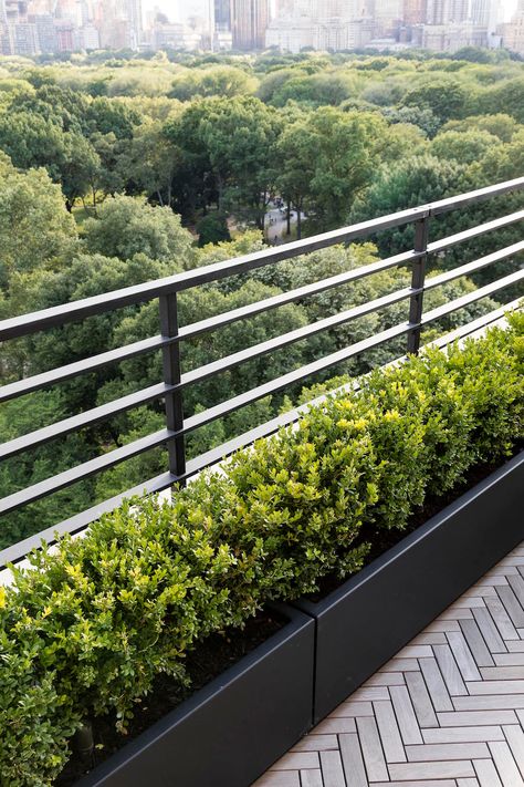 Garden Designer Visit: A Manhattan Terrace with Panoramic Central Park Views - Gardenista Roof Terrace Design, Central Park View, Roof Garden Design, Terrace Garden Design, Balcony Railing Design, Terrace Decor, Rooftop Terrace Design, Rooftop Design, Balkon Design