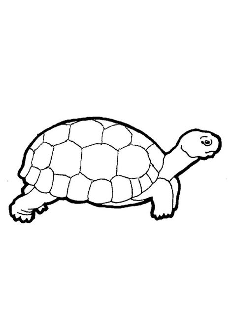 Turtle Coloring Page 3 for kids. Free Printable Turtle Coloring Pages For Kids download and print. Tortoise Printable, Turtle Coloring Pages Free Printable, Sea Turtle Coloring Pages, Dr Seuss Coloring Pages, Book Folding Patterns Free, Dover Publications Coloring, Turtle Coloring, Minions Coloring Pages, Soldier Silhouette