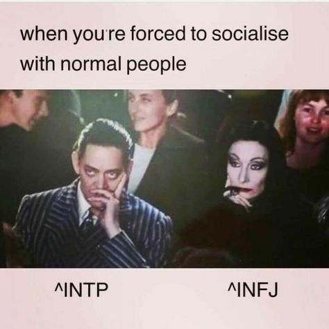 Intp And Infj Couple, Intp Love Relationships, Intp Intp Relationship, Intp Quotes Aesthetic, Intp Ship Dynamics, Intp Infj Friendship, Mbti Intp X Entj, Infj X Intp Relationships, Infj Intp Love