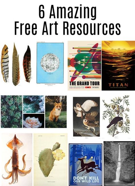 Free Art Resources: Sites with amazing free art of all styles that you can print yourself. Free Gallery Wall Printables, Free Printable Wall Art Quotes, Free Art Download, Free Printable Artwork, Gallery Wall Printables, Vintage Bird Illustration, Free Wall Art, Astronomy Art, Free Printable Wall Art
