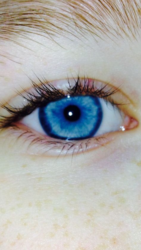 Unique Blue Eyes, Electric Blue Eyes, Blue Eyes Aesthetic, Rare Eye Colors, Sky Blue Eyes, Mata Biru, Steel Blue Eyes, Blue Eye Color, Teal Eyes