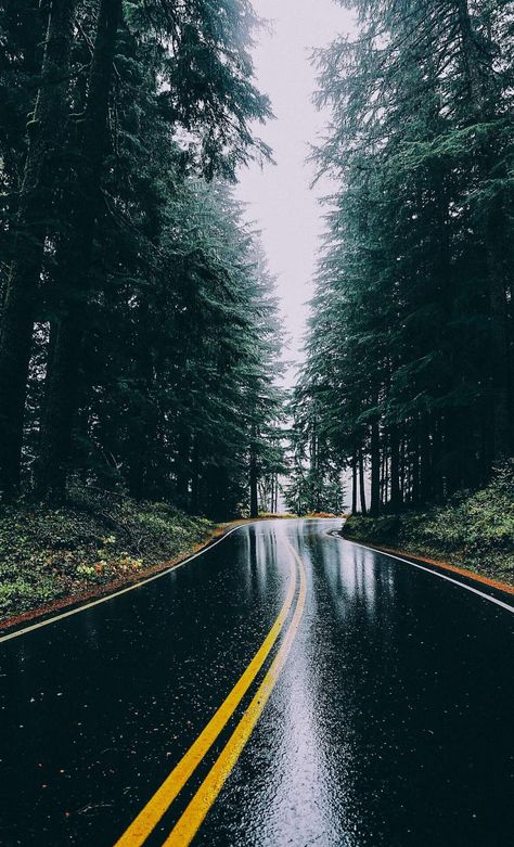 iPhone Wallpapers for iPhone 12, iPhone 11, iPhone X, iPhone XR, iPhone 8 Plus High Quality Wallpapers, iPad Backgrounds Rain Wallpaper Iphone, Rain Wallpaper, Rainy Wallpaper, Rain Pictures, Rain Wallpapers, Beautiful Roads, Forest Photos, Image Nature, Landscape Photography Nature