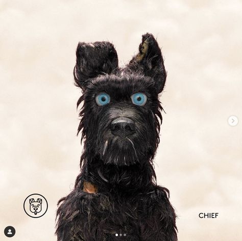 Isle of dogs Wes Anderson Characters, Adventure Time Tattoo, Clay Pigeons, Wes Anderson Films, Isle Of Dogs, Black Nose, Dog Icon, Dog Pin, Dog Tattoos