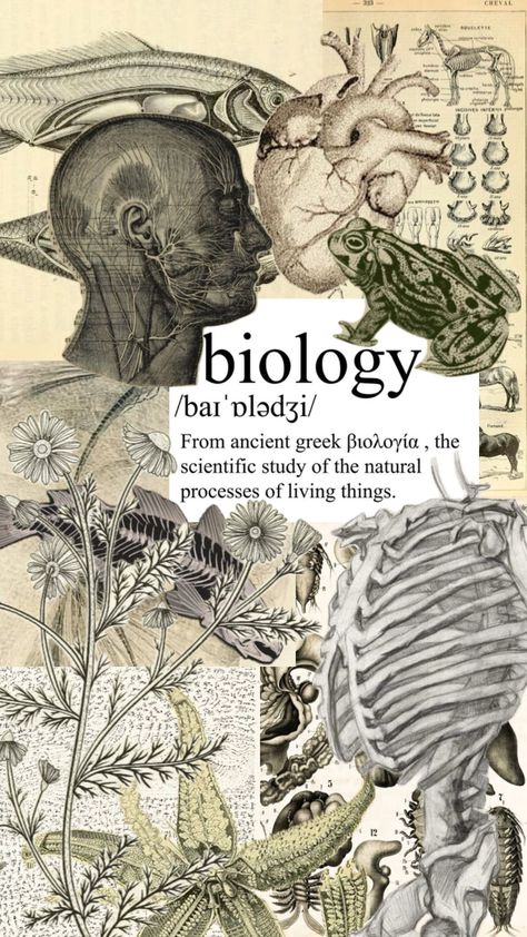 biology cover Biology Major, Biology Projects, Medical School Life, Study Biology, Wildlife Biologist, Biology Labs, Biology Art, Medical School Motivation, Book Background