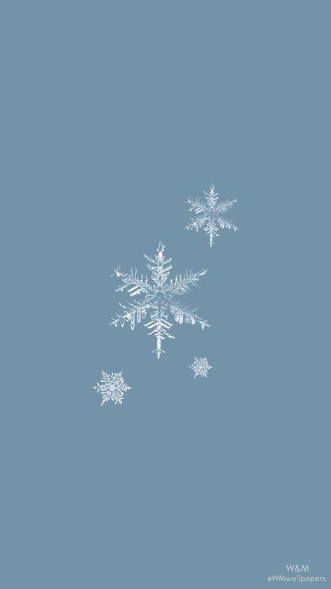 Winter Aesthetic Wallpaper Simple, I Smell Snow Wallpaper, Winter Wonderland Aesthetic Wallpaper, Cute Winter Wallpapers Aesthetic Simple, Iphone Wallpaper Winter Aesthetic, Snow Flake Aesthetic, Winter Asthetics Photos Wallpaper, Snow Flakes Aesthetic, Winter Minimalist Wallpaper