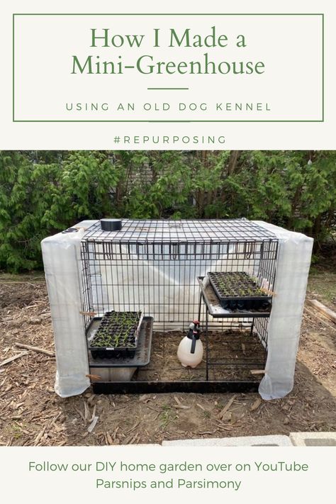 This video shows you how I turned an old dog kennel into a mini-greenhouse repurposing materials found around my house. Total cost: $0!!! Repurposed Dog Kennel, Homestead Greenhouse, Diy Small Greenhouse, Diy Mini Greenhouse, Large Dog Kennel, Homemade Greenhouse, Garden 101, Cheap Greenhouse, Diy Greenhouse Plans