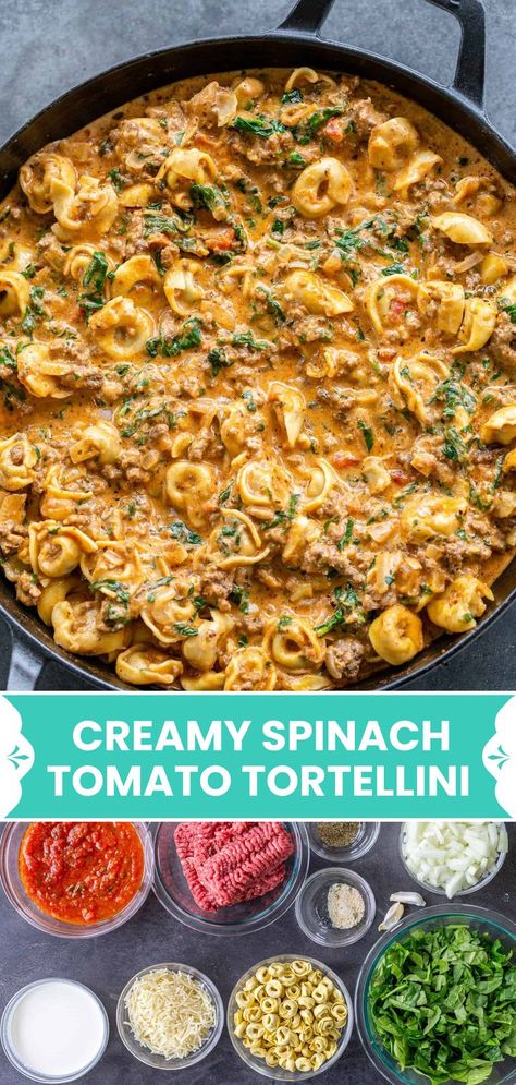 Creamy Spinach Tomato Tortellini, Spinach Tomato Tortellini, Easy Weeknight Pasta, Spinach And Tomato Tortellini, Recipe For Spinach, Cheese Tortellini Recipes, Ground Beef Pasta Recipes, Swiss Cuisine, Tomato Tortellini