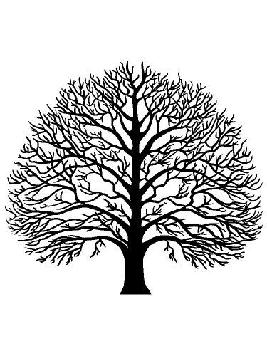 Free printable Tree Without Leaves stencils and templates Free Printable Tree, Tree Printable Free, Family Tree Activity, Tree Without Leaves, Oak Tree Silhouette, Tree Stencils, Free Stencils Printables Templates, Printable Tree, Stencils Printables Templates