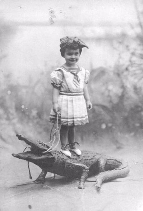 27 Incredible Vintage Photos of People Posing With Alligators, Even Cuddle or Ride Them, From the Early 20th Century ~ Vintage Everyday Creepy Old Photos, Frei Wild, Bizarre Photos, Green Tea Face, Create Christmas Cards, Antique Aesthetic, Village Photos, Dangerous Animals, People Poses