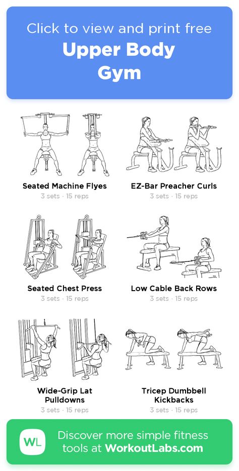 Upper Body | Gym – click to view and print this illustrated exercise plan created with #WorkoutLabsFit Gym Workout Plan For Women Machines Beginner, Gym Workout For Legs For Women, Upper Body Workout Equipment, Weight Machine Arm Workout For Women, Upper Body Workout Beginner Gym, Weight Machine Workouts For Women Gym Strength Training, Women Gym Exercises, Combination Workouts Gym, Girls Workout Routine Gym