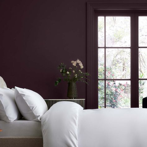 Dark Purple Bedroom Walls, Plum Accent Wall, Deep Purple Bedroom, Purple Bedroom Paint, Dark Purple Bedroom, Dark Purple Paint, Plum Bedroom, Plum Wall, Plum Walls