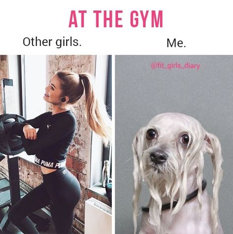 Humour, Fitness Memes Humor Women, Funny Gym Memes Humor, Funny Workout Memes, Funny Fitness Memes, Funny Gym Memes, Woman Abs, Workout Memes Funny, Gym Memes Funny