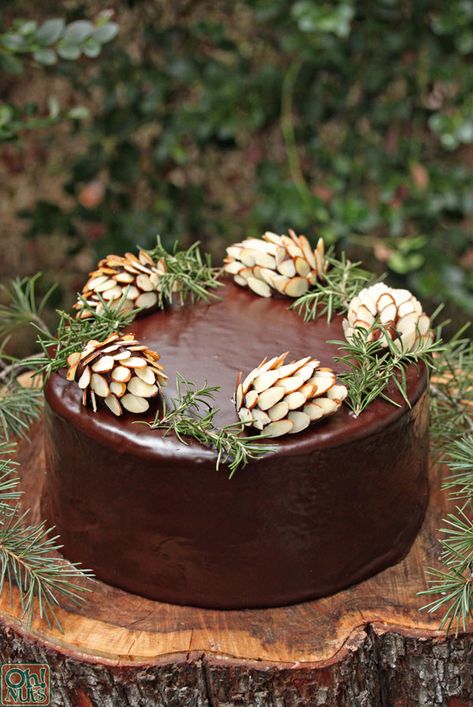 Best Christmas Cake Recipe, Pumpkin Roll Cake, Christmas Cake Decorations, Christmas Cake Recipes, Pumpkin Recipes Dessert, Thanksgiving Food Desserts, Fall Cakes, Dessert Decoration, Food Cakes