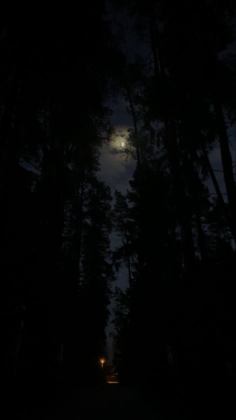 Woods In The Night, Woods Night Aesthetic, Night Time Forest Aesthetic, Dark Night Asthetics, Dark Forest Asethic, Nighttime Forest Aesthetic, Moon Forest Wallpaper, Dark Night Aesthetic Wallpaper, Dark Forest Aesthetic Night