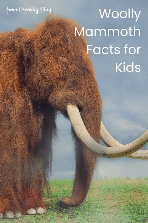 Woolly Mammoths, Georges Cuvier, Ice Age Movies, Dino Park, Fun Facts For Kids, Woolly Mammoth, Wooly Mammoth, Asian Elephant, Animal Crafts For Kids