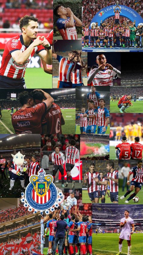 Chivas Soccer, Chivas Wallpaper, Harly Quinn, 21st Birthday Photoshoot, Soccer Fans, Birthday Photoshoot, Football Club, Art Reference, Iphone Wallpaper