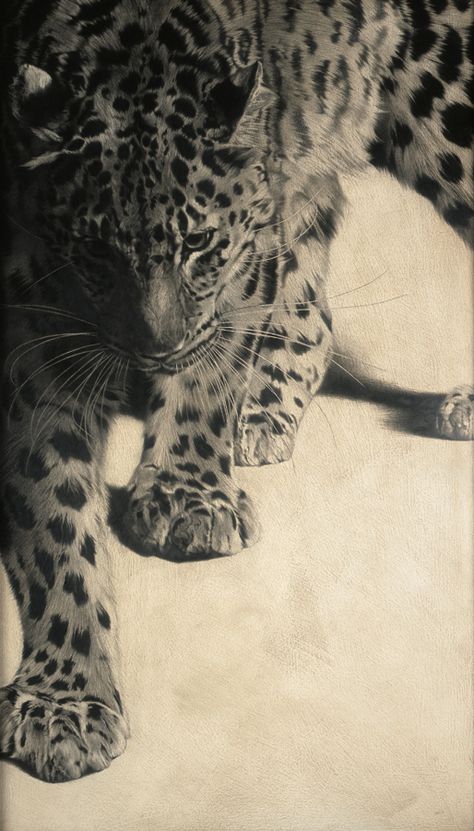 VICKY WHITE— 2008-13 Leopards, Snow Leopard, Jaguar, Big Cats, Cheetah Print, Drømme Liv, Amur Leopard, Tapeta Pro Iphone, Photo Profil