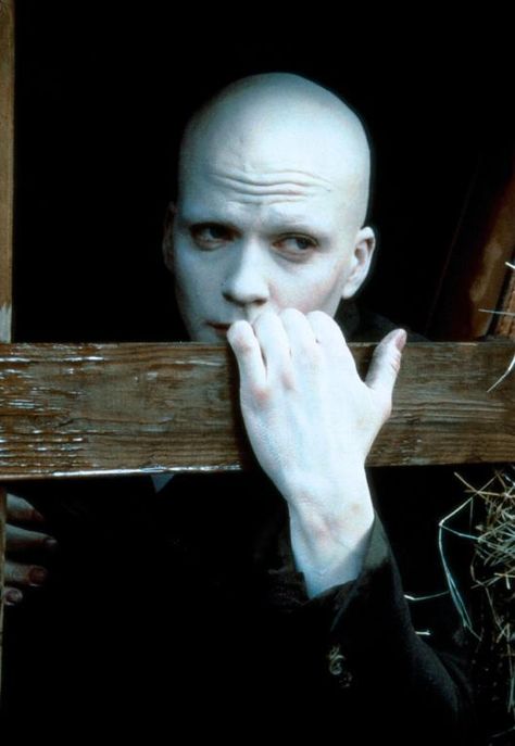 Sean Patrick Flanery as 'Jeremy 'Powder' Reed' in Powder (1995) Albino Male, Sean Patrick Flanery, Stormlight Archive, Bad Image, Brandon Sanderson, Worst Movies, Hooray For Hollywood, Progress Pictures, Animated Images