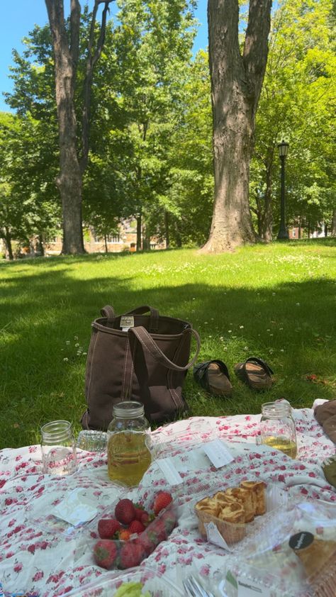 picnic
hippie
grass
park
strawberries
sandals
blanket Nature, Picnic At Park Aesthetic, Park Day Aesthetic, Spring And Summer Aesthetic, Spring Romance Aesthetic, Summer In The Countryside, Summer In The Uk, My Summer Aesthetic, Day Out Aesthetic