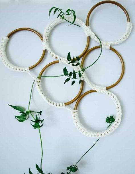 Growing jasmine indoors + macrame style trellis diy - Friendly NettleFriendly Nettle Growing Jasmine, Ivy Plant Indoor, Climbing Plants Trellis, Houseplant Trellis, Trellis Diy, Indoor Plant Trellis, Diy Planters Indoor, Macrame Style, Indoor Trellis