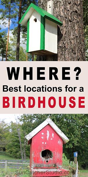 Permaculture, Bird Nesting Material, Backyard Birds Sanctuary, Bird Feeder Plans, Hummingbird House, Homemade Bird Houses, Bird Houses Ideas Diy, Bluebird House, Garden Birdhouses