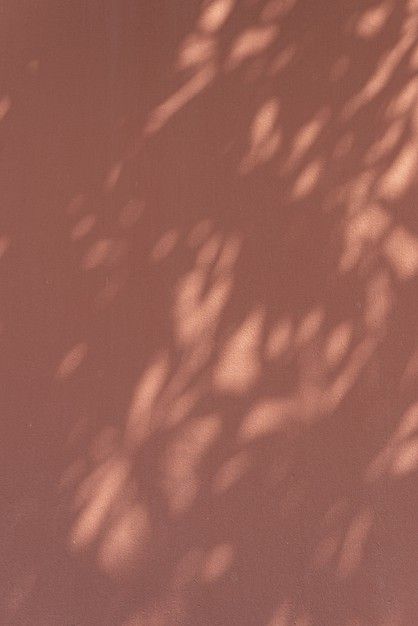 Wall Shadow, Leaf Shadow, Window Shadow, Sun Shadow, Tropical Background, Flower Window, Shadow Photography, Orange Walls, Shadow Pictures