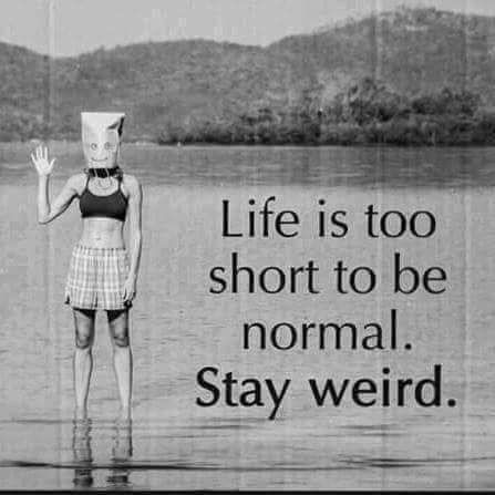 Life is too short to be normal-stay weird! 😮😜 Funny, Life Quotes, Wierd Quotes, Funny Life Quotes, Life Quotes To Live, Funny Life, Stay Weird, Life Quotes To Live By, Quotes To Live By